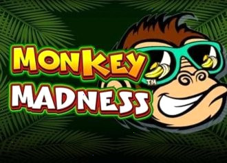 monkey madness blaze monkey band